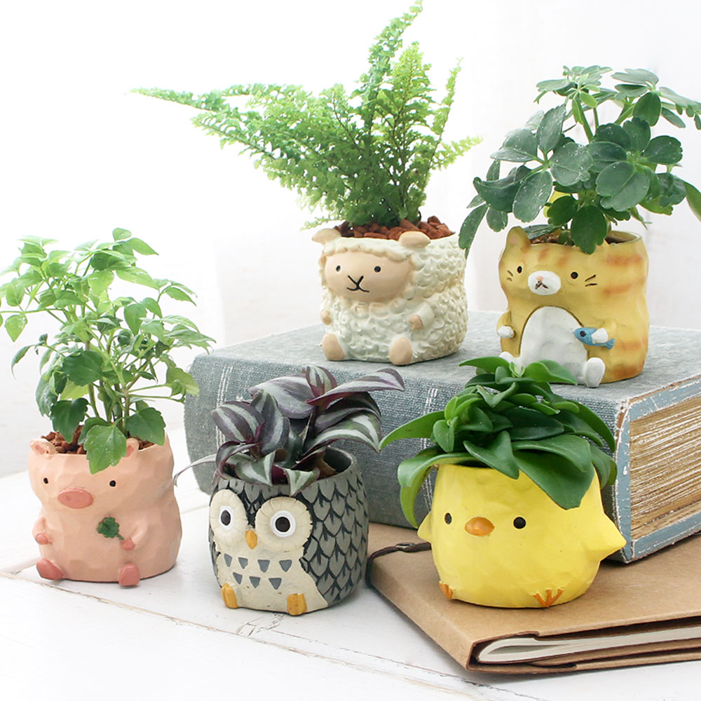 一石二鳥オブジェ♡鉢付き♡ノーム♡置物♡1点物ॱ⋅.˳˳.⋅˙ॱᐧ.˳˳.⋅ઇଓ よしの】てぬぐい「花鳥園の社交界」 - 掛川花鳥園公式通販サイト FBPshop