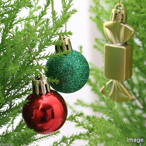 楽天市場 観葉植物 小さなクリスマスツリー ゴールドクレスト オーナメント１０個 １セット Charm 楽天市場店