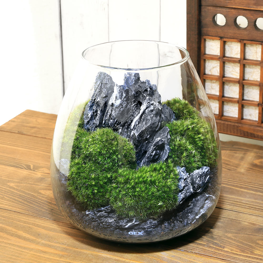 楽天市場】（観葉植物）GEX グラスアクアリウム スフィア 風