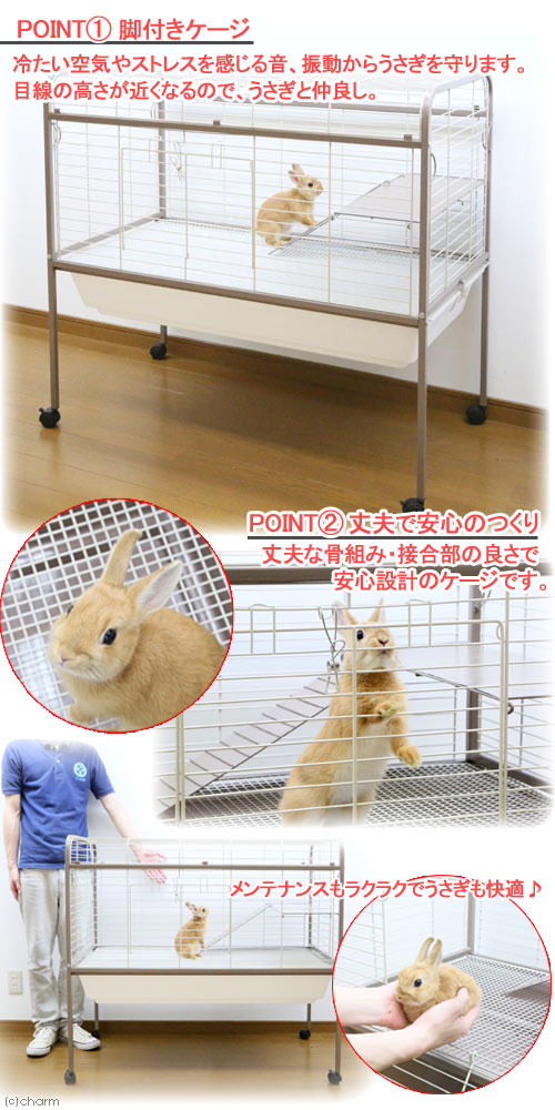 楽天市場 アウトレット品 脚付き うさぎケージ ｌ 組立確認済 うさき モルモット 才数２００ 沖縄別途送料 関東当日便 Charm 楽天市場店