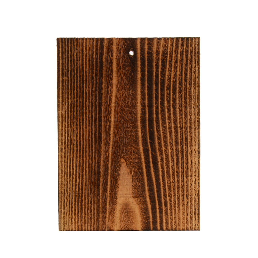 楽天市場】（観葉植物）ビカクシダ リドレイ スポア 2．5〜3号（1