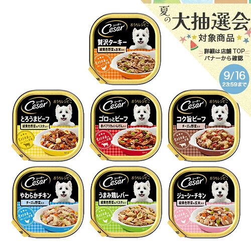 【４／１０限定】当選確率２分の１！１等最大１００％　シーザー　おうちレシピ　成犬用　７種各６個　トレイ　ドックフード　ウェットフード