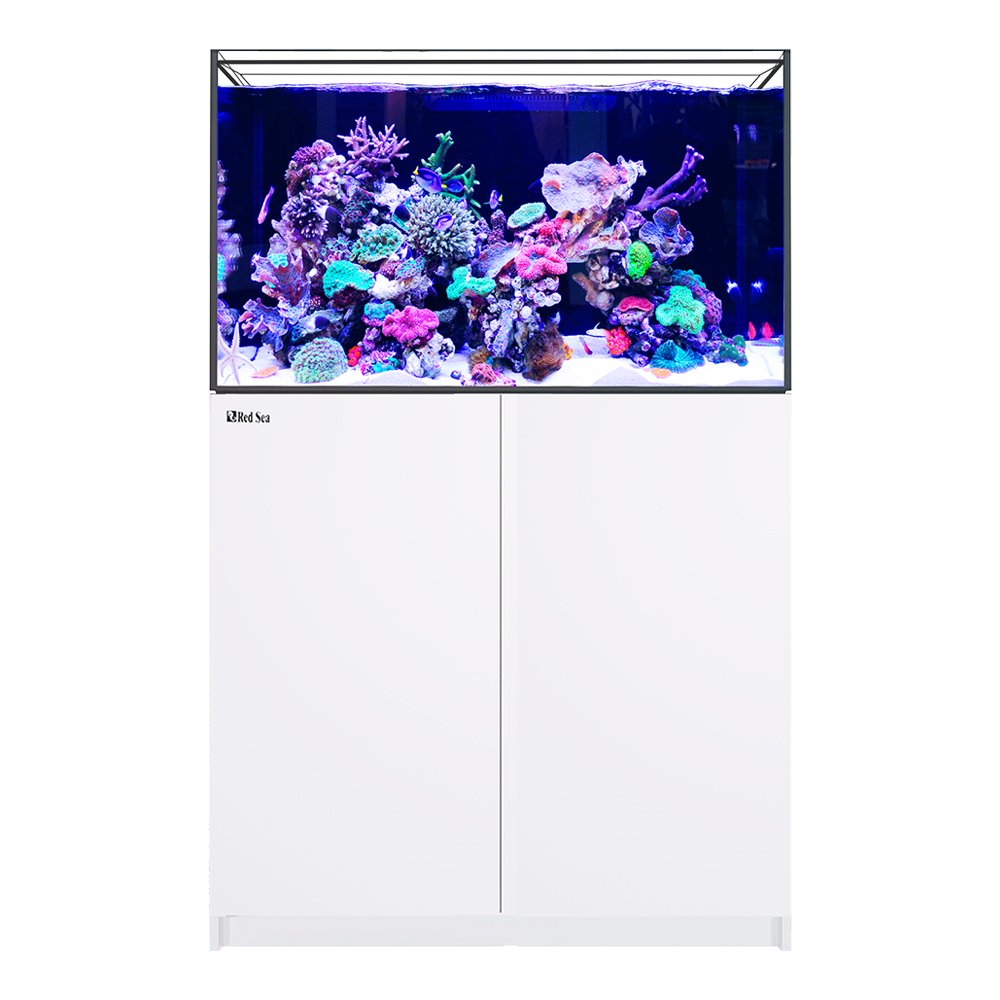 （超大型）取寄せ商品　レッドシー　ＲＥＥＦＥＲ　３００　Ｇ３　ホワイト　本州四国送料無料・同梱不可・代引不可　５００サイズ　２個口