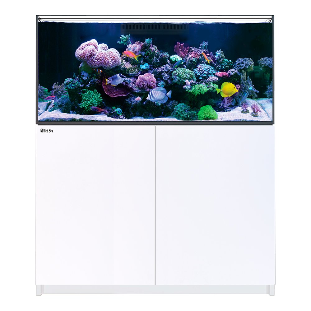 （超大型）取寄せ商品　レッドシー　ＲＥＥＦＥＲ　３５０　Ｇ３　ホワイト　本州四国送料無料・同梱不可・代引不可　６００サイズ　３個口