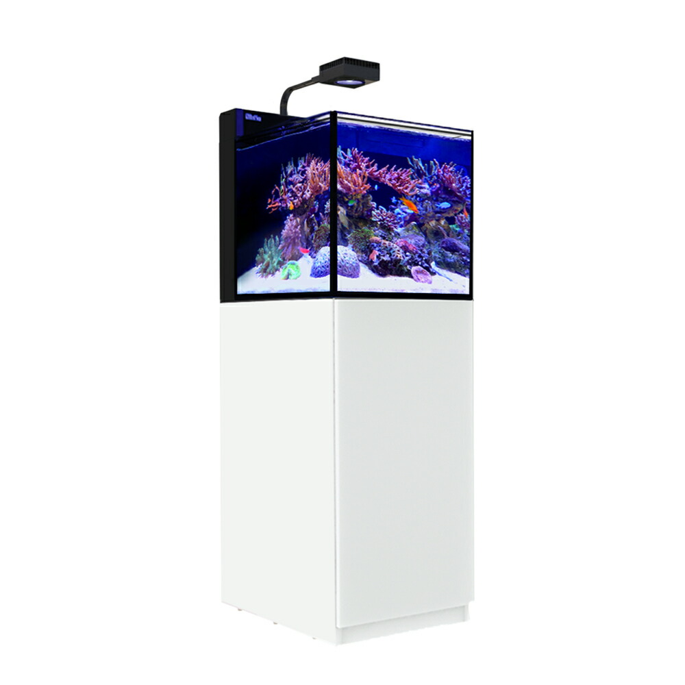 （大型）６０Ｈｚ　レッドシー　ＭＡＸ　ＮＡＮＯ　Ｇ２　ペニンシュラセット　白（旧ＬＥＤセット）　本州四国送料無料・同梱不可・代引不可　２００サイズ