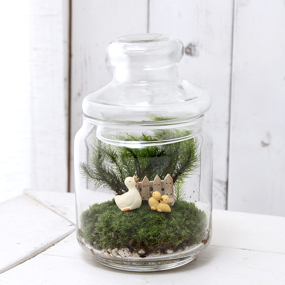 楽天市場 観葉植物 苔ｔｅｒｒａｒｉｕｍ アニマルランド アヒル 説明書付 Charm 楽天市場店