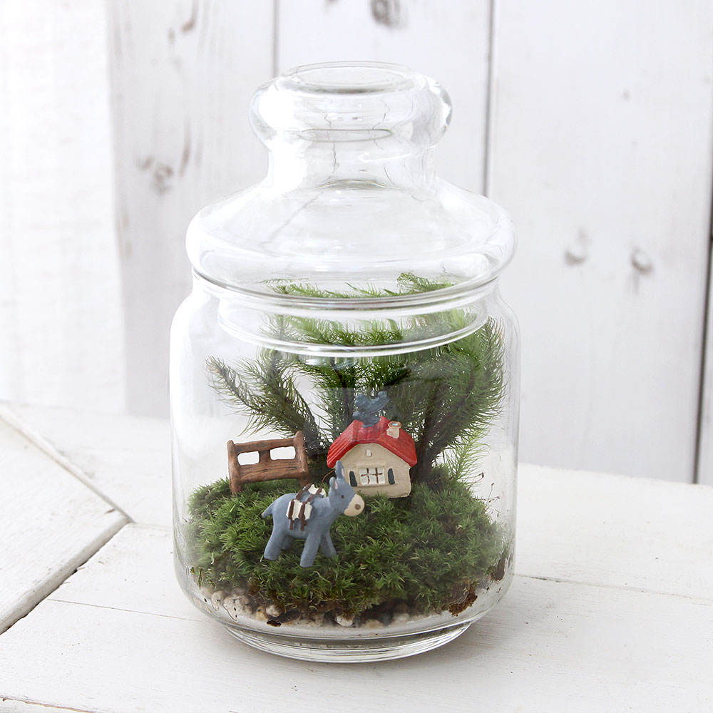 楽天市場 観葉植物 苔ｔｅｒｒａｒｉｕｍ アニマルランド ロバ 説明書付 Charm 楽天市場店