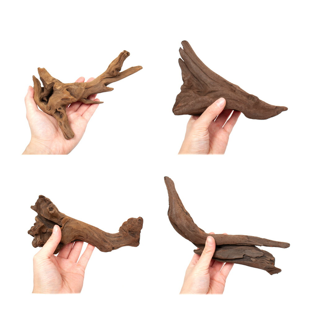 楽天市場 形状お任せ 上質流木 雅 みやび ｓサイズ 約１５ ２５ｃｍ ３本セット 関東当日便 Charm 楽天市場店