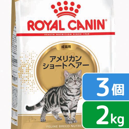 ロイヤルカナン　猫　アメリカンショートヘアー　成猫用　生後１２ヵ月齢から１２歳まで　２ｋｇ&times;３袋　ジップ付（キャットフード　ドライ）　関東当日便｜charm 店