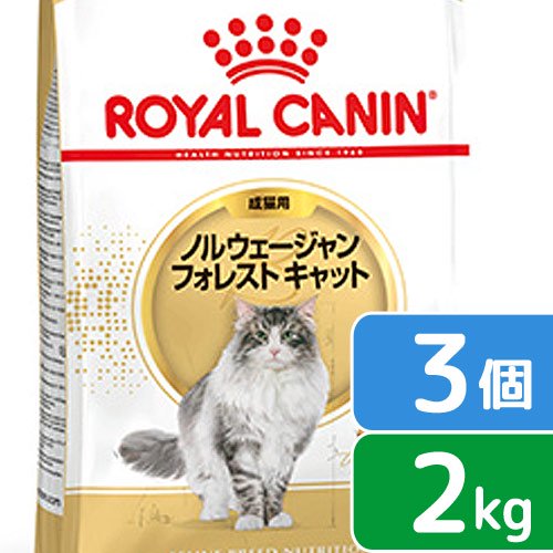 ロイヤルカナン　猫　ノルウェージャン　フォレスト　キャット　成猫用　生後１２ヵ月齢から１２歳まで　２ｋｇ&times;３袋　ジップ付　関東当日便｜charm 店