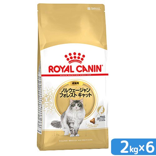 ロイヤルカナン　猫　ノルウェージャン　フォレスト　キャット　成猫用　２ｋｇ&times;６　ジップ付（キャットフード　ドライ）　お一人様１点限り　関東当日便｜charm 店
