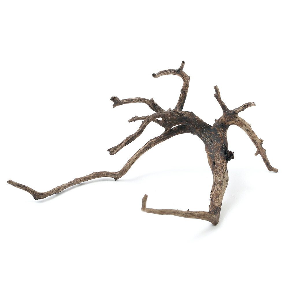 楽天市場】すぐに沈む！ 形状お任せ 沈水流木Sサイズ （約15cm