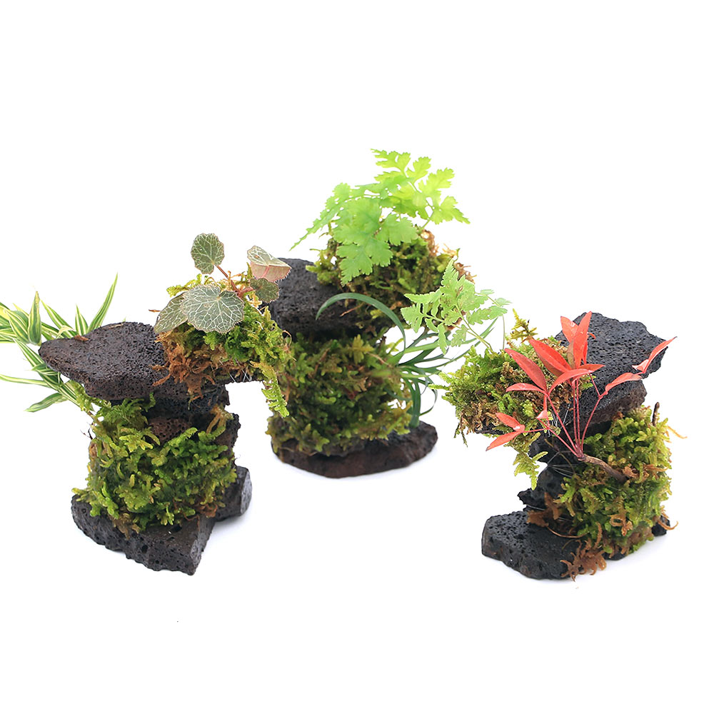 楽天市場】爬虫類ケージ GEX レプテリア クリアネオフィット 180