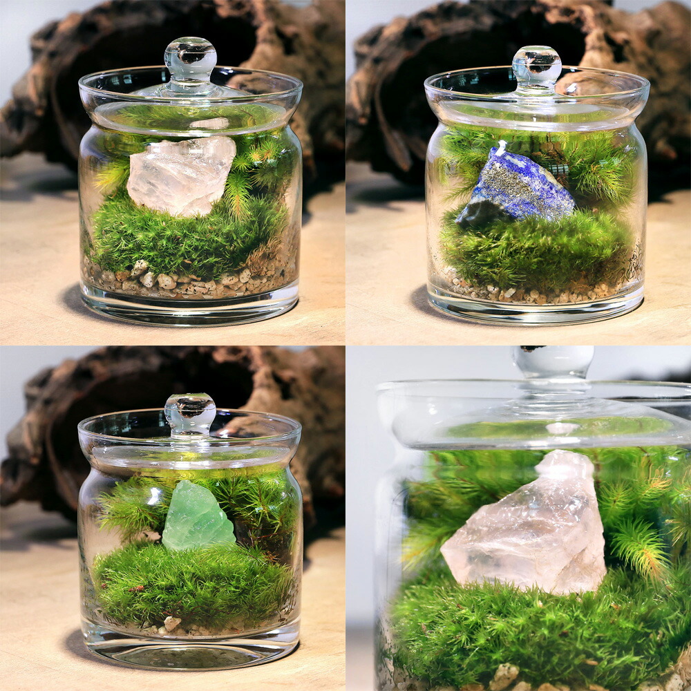 さざれ石 苔テラリウム・アクアリウム用 天然石 一点物 約21cm (074