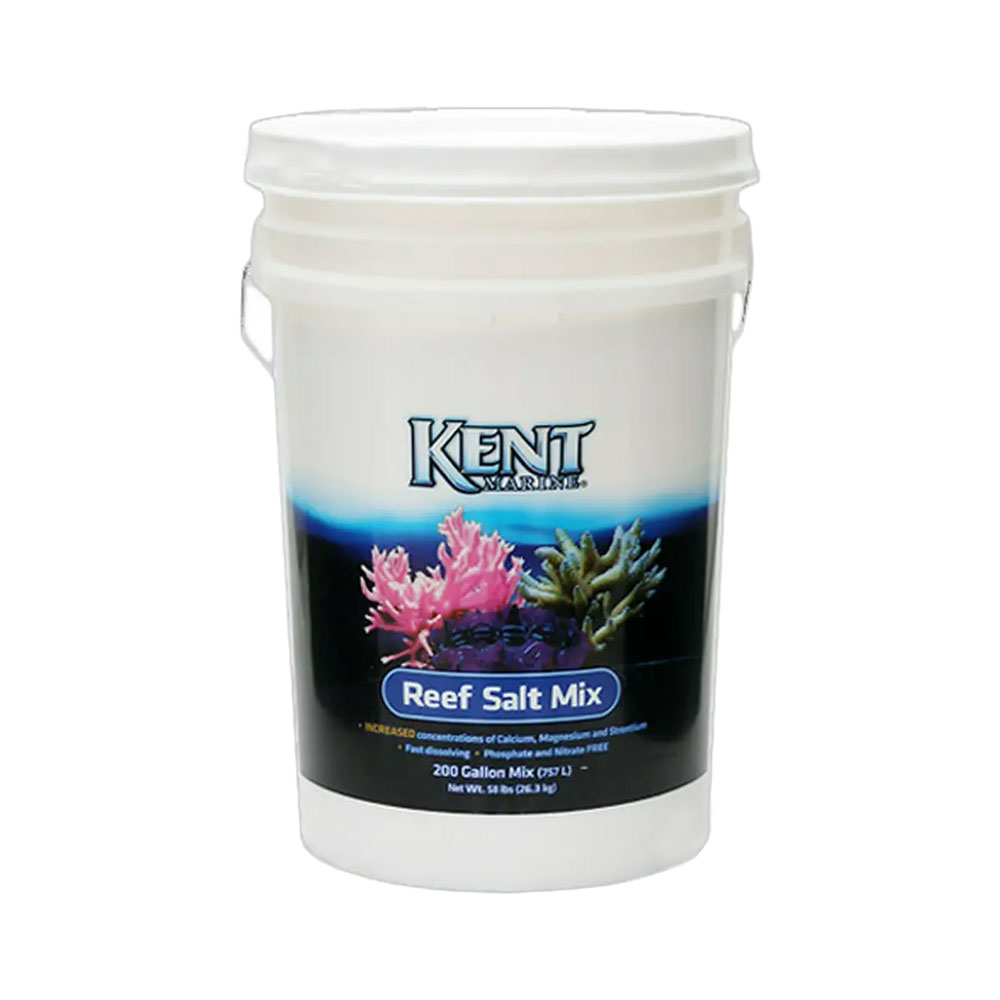 人工海水 Ｋｅｎｔ Ｒｅａｆ Ｓａｌｔ ２００Ｇ ７６０Ｌ用 バケツ 沖縄別途送料 関東当日便 ブランド買うならブランドオフ