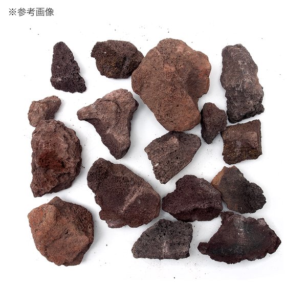 高い素材 お好きな大きさをご選択下さい キロまで 溶岩石 5 40cm 魚用品 水草 Orointegrated Coop