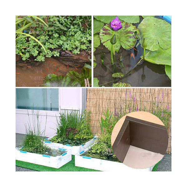 ビオトープ めだか 池でビオトープ レイアウトセット ｗ９０ ｄ４５ ｈ１８ ５ｃｍ ブラウン 本州四国限定 Charm 楽天市場店
