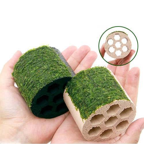 水草 巻きたて ハニカムシェルター Ｗセット 日本最大の ウィローモス 水中葉 無農薬 高評価の贈り物 １セット