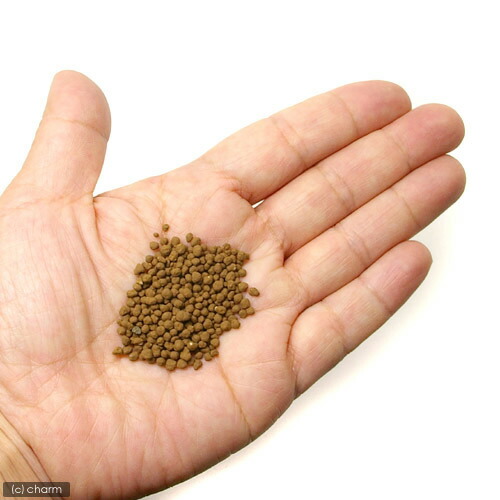 楽天市場 ニッソー カスタムソイル ブラウン ３ｋｇ 熱帯魚 用品 関東当日便 Charm 楽天市場店