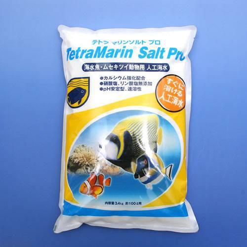 天然 ライブロック 2kg 5〜6個 71cwUXmPTeL._UF350,350_QL80_.jpg