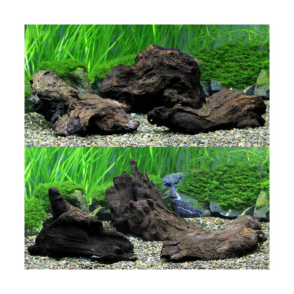 24@3点おまとめ　天然水槽用流木　沈水確認済み Amazon | アク抜き済み枝流木 30cm水槽用 沈む流木 あく抜き