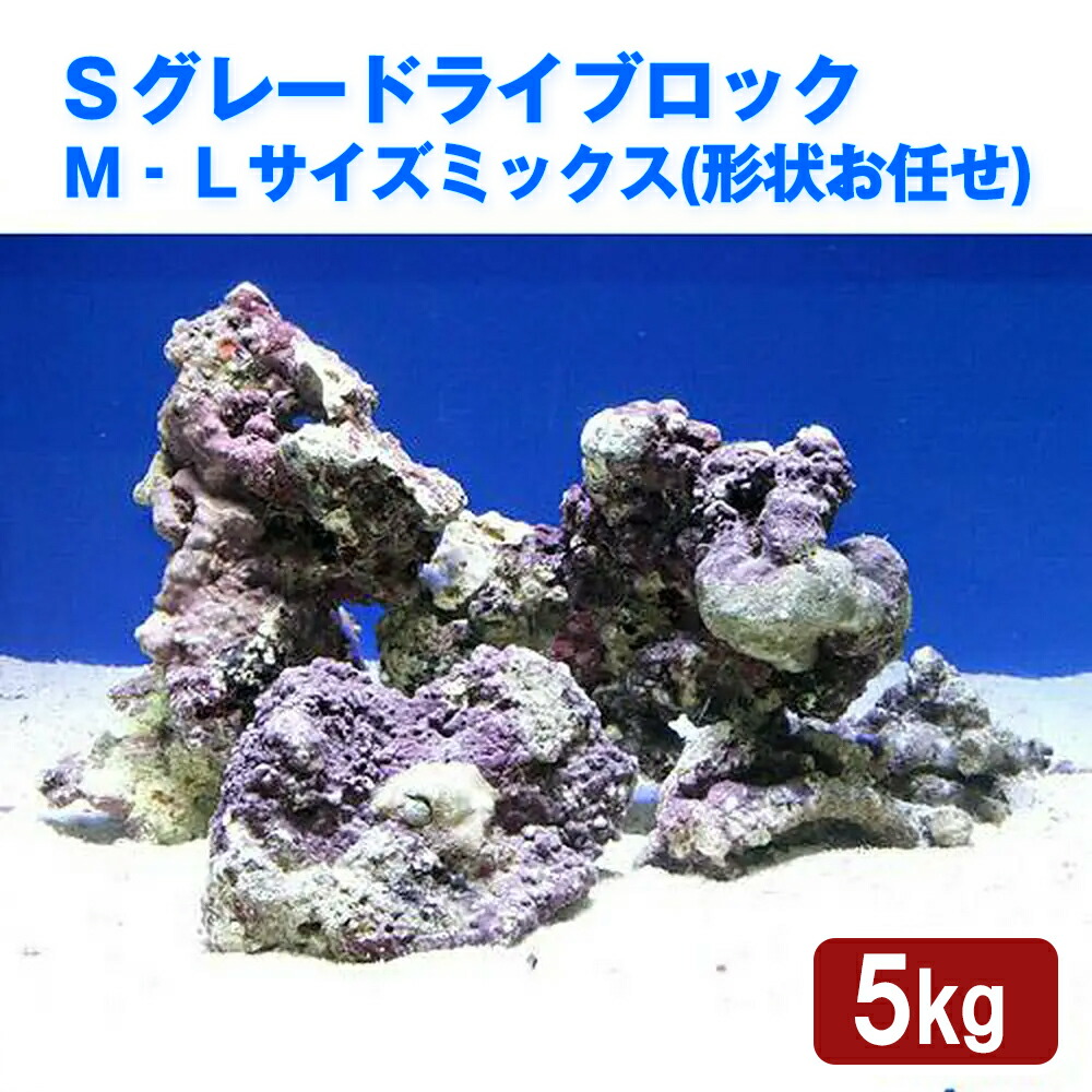 店 観賞魚 北海道航空便要保温 海水魚 ｓグレードライブロック ｍ ｌサイズミックス ５ｋｇ 形状お任せ 沖縄別途送料 Charm