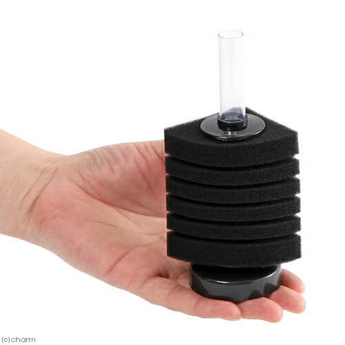 楽天市場 ｌｓｓ研究所 本体 ｌｓｓスポンジフィルター ｌｓ ２０ｌ エアレーション 関東当日便 Charm 楽天市場店