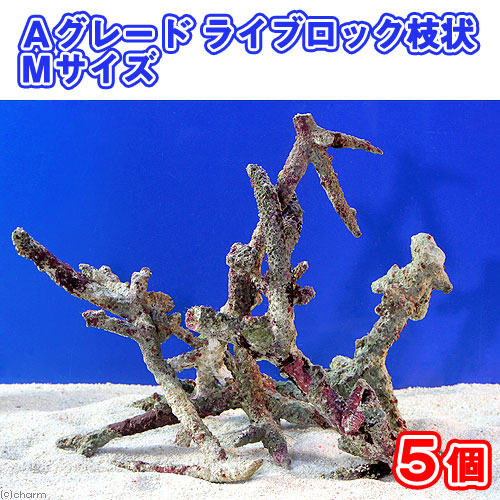 楽天市場】（海水魚）ライブロック LLサイズ（1個）（形状お