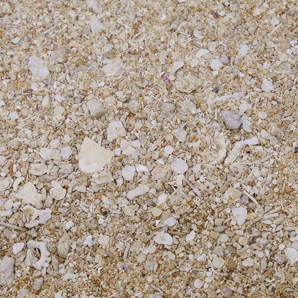 楽天市場】カミハタ カリブシー アラゴナイト アラガマックス