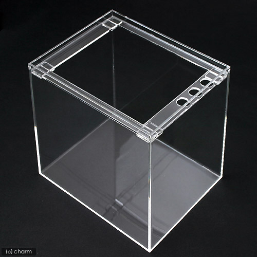 楽天市場】水槽 アクリル水槽 ラクシス No．1 （220×220