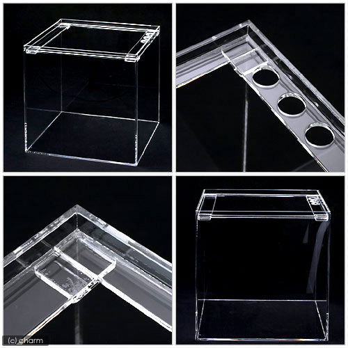 アクリル水槽 ラクシス No.5 (25×25×25cm)25cm水槽 沖縄別途送料 関東当日便 アクリル水槽 ラクシス No.5 (25×25×25cm)25cm水槽 沖縄別途送料 関東当日便