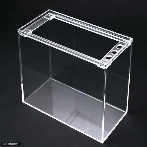 「高透明アクリル水槽 600×300×360mm｜厚さ5mm｜ 新品未使用 楽天市場】水槽 アクリル水槽 アクリルクリアタンク 底面板黒