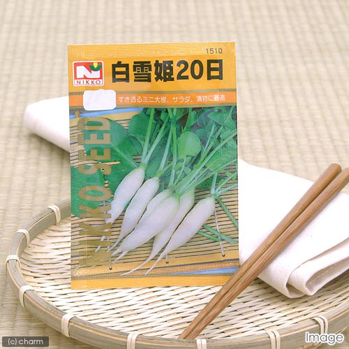 野菜の種　白雪姫２０日大根　品番：１５１０　家庭菜園　関東当日便