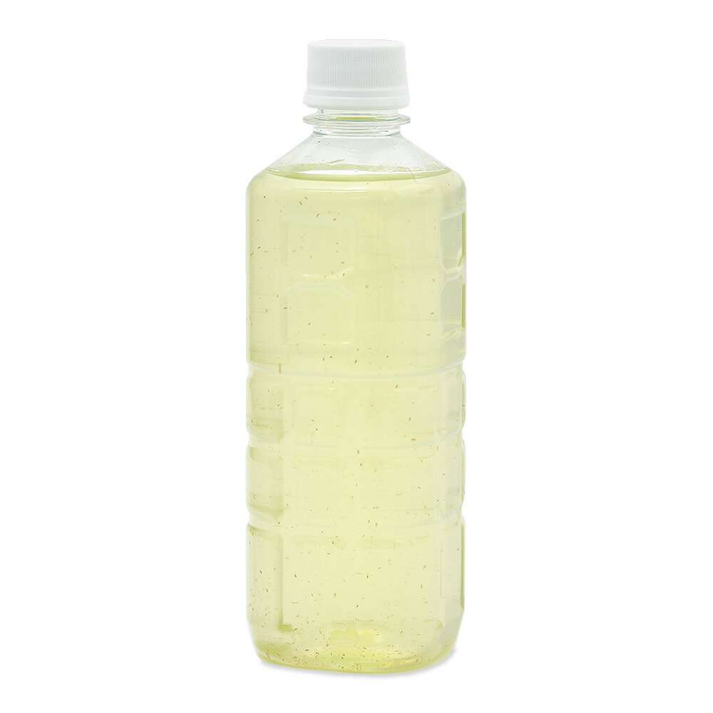 楽天市場 生餌 タマミジンコ入り飼育水 ５００ｍｌ ３本セット 北海道航空便要保温 Charm 楽天市場店