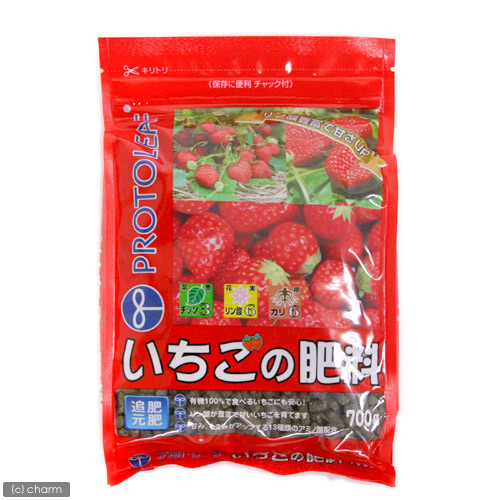 いちご岐阜県特別栽培玄米20キロ DAIONJI FARM-ダイオンジ ファーム-いちご農家