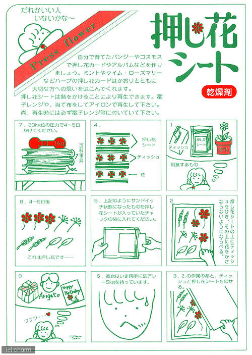 楽天市場 押し花乾燥シート 厚さ1mmレギュラーサイズ 10枚 160 240mm 関東当日便 Charm 楽天市場店 楽天市場 押し花乾燥シート 厚さ1mmレギュラーサイズ 10枚 160 240mm 関東当日便 Charm 楽天市場店