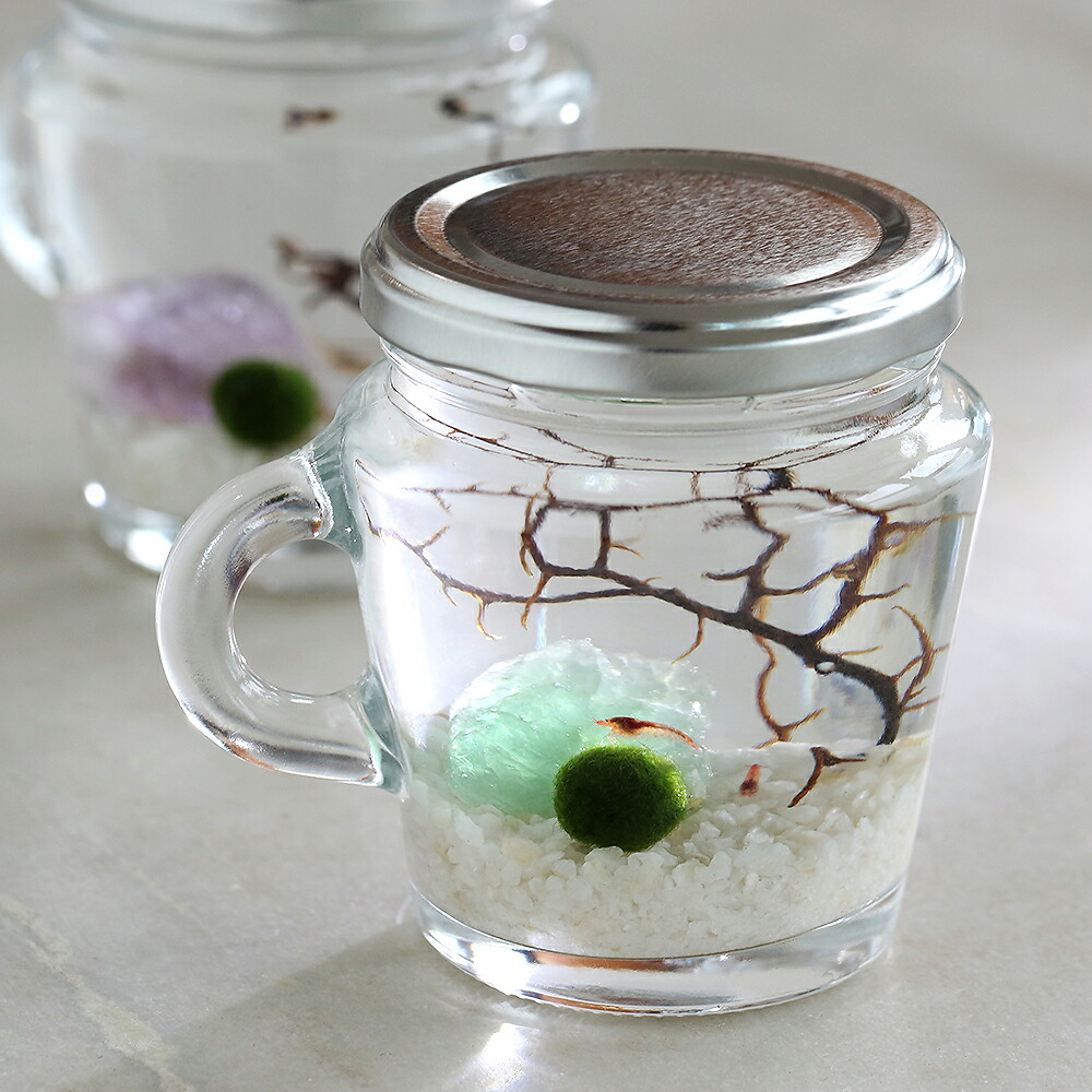 楽天市場】（エビ）ホロホロ・ボトル（雫型・白） 本州四国限定