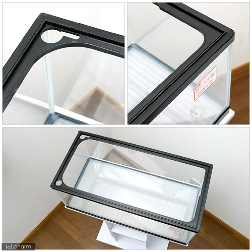 楽天市場 らんちゅう水槽 ６００ ５９９ ２９５ ２３０ ６０ｃｍ水槽 金魚 亀 カメ 単体 お一人様１点限り 関東当日便 Charm 楽天市場店