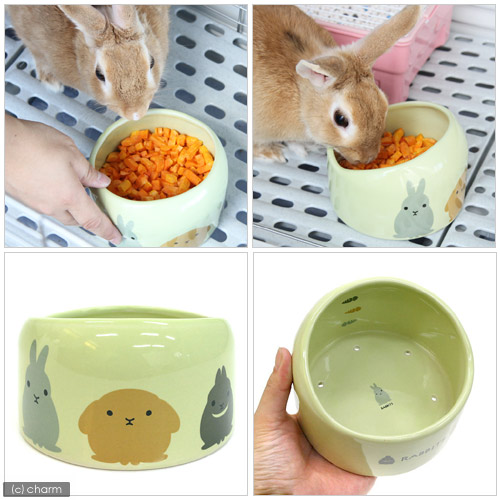 【楽天市場】マルカン うさぎのフード付食器 うさぎ 食器 関東当日便：charm 楽天市場店