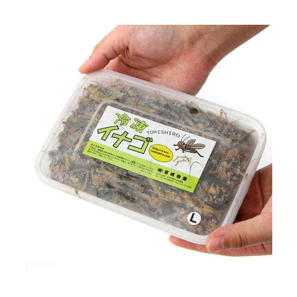 冷凍フタホシML約1300匹1kg冷凍コオロギ 237968-1.jpg