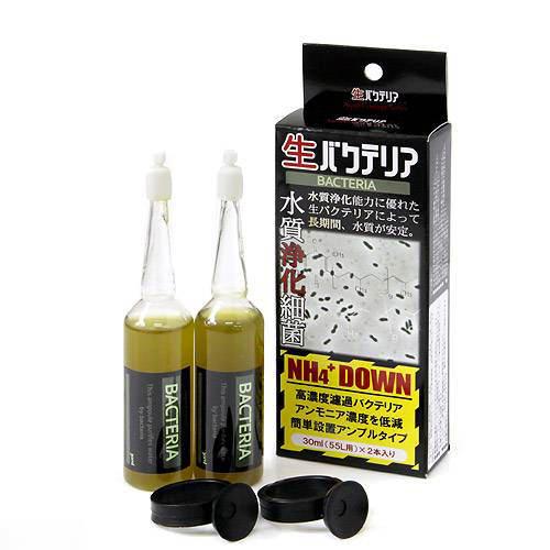 楽天市場 日本動物薬品 ニチドウ 生バクテリア アンプルタイプ ３０ｍｌ ５５ｌ用 ２本入 バクテリア 熱帯魚 観賞魚 関東当日便 Charm 楽天市場店