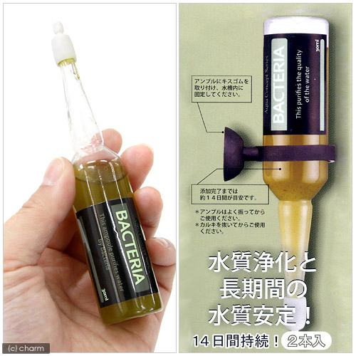 楽天市場 日本動物薬品 ニチドウ 生バクテリア アンプルタイプ ３０ｍｌ ５５ｌ用 ２本入 バクテリア 熱帯魚 観賞魚 関東当日便 Charm 楽天市場店