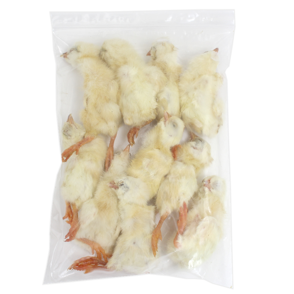 冷凍ラット 240~300g 30匹 冷凍ラット 240~300g 30匹 冷凍ラット 240~300g 30匹