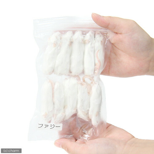 冷凍 ファジー カタ養殖 Ｍｉｃｅ１０ 冷凍マウス 別途クール手数料 最大79%OFFクーポン 常温商品同梱不可 パック １０匹 大好き