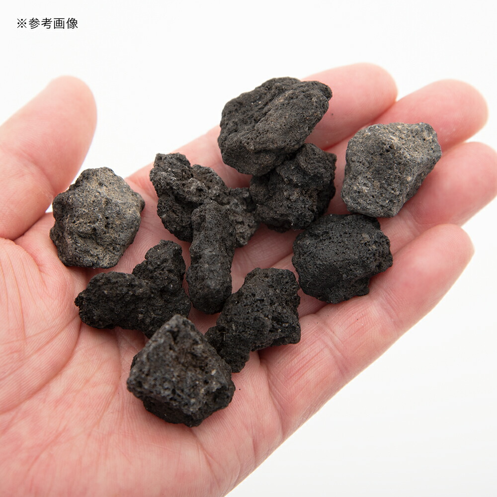 高い素材 お好きな大きさをご選択下さい キロまで 溶岩石 5 40cm 魚用品 水草 Orointegrated Coop