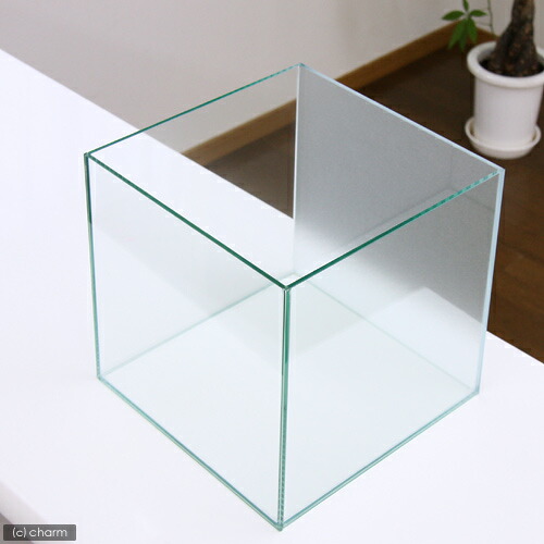 バックスクリーン貼付済 サンド オールガラス27cm水槽 アクロ27N(27×27×27cm)(単体) お一人様2点限り 関東当日便 バックスクリーン貼付済 サンド オールガラス27cm水槽 アクロ27N(27×27×27cm)(単体) お一人様2点限り 関東当日便