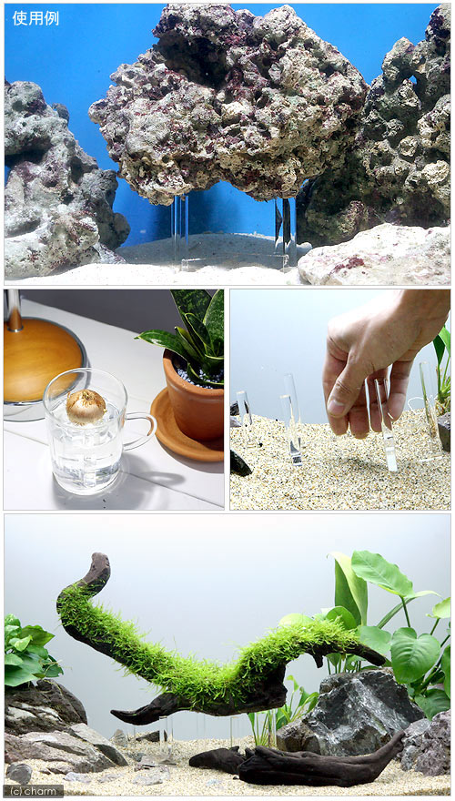 楽天市場 トゥービック ライブロックスタンド ｎｏ １２ ｌ シングル ハイタイプ 関東当日便 Charm 楽天市場店