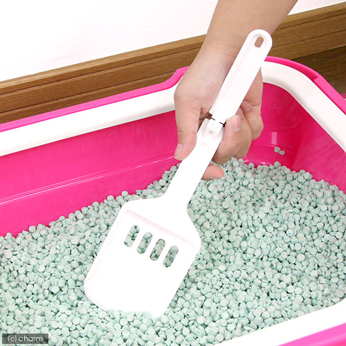 しつけるトイレC−M ローズピンク 猫トイレ 猫用トイレ お一人様3点限り 関東当日便 しつけるトイレC−M ローズピンク 猫トイレ 猫用トイレ お一人様3点限り 関東当日便