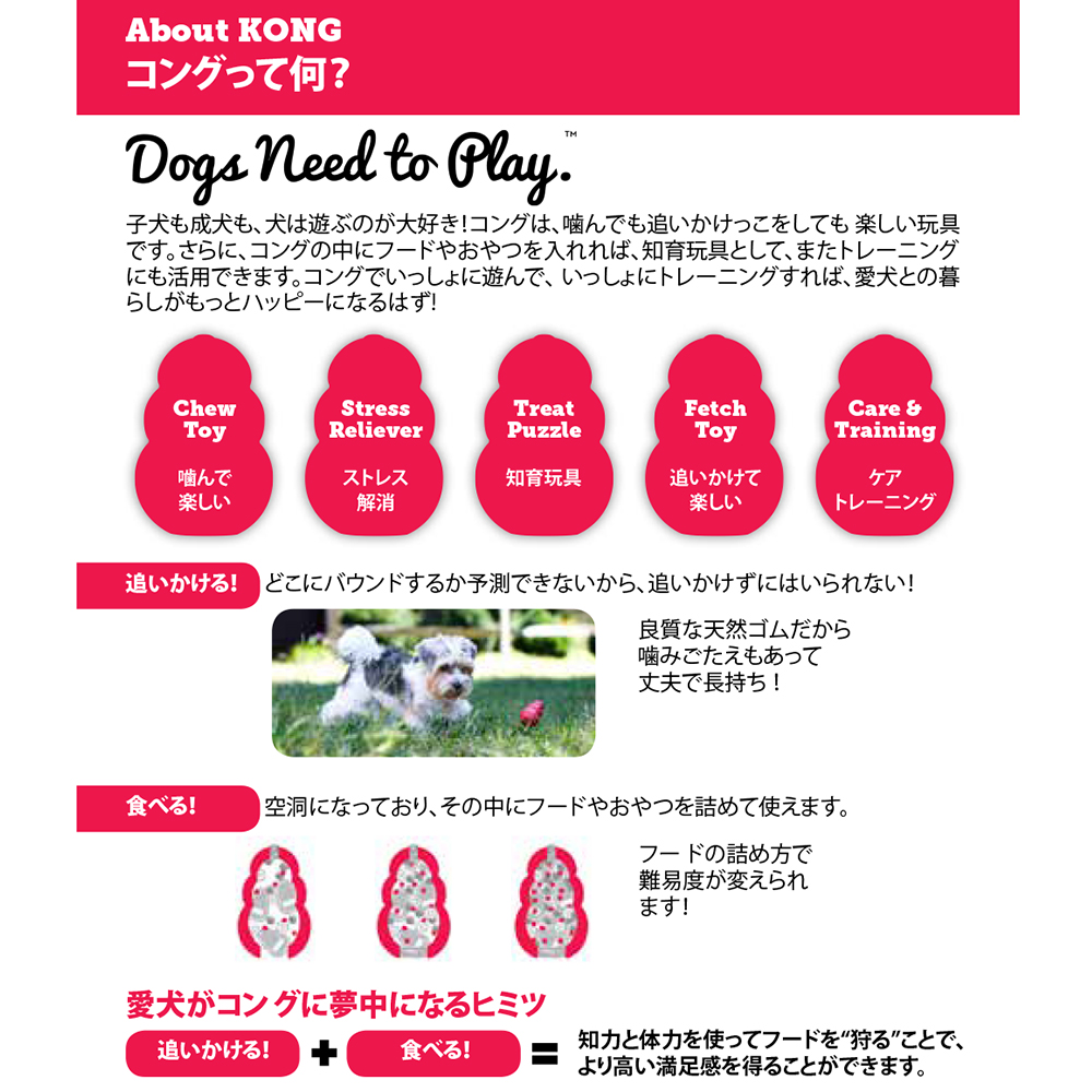 楽天市場 コング ｓ 正規品 犬 犬用おもちゃ 関東当日便 Charm 楽天市場店