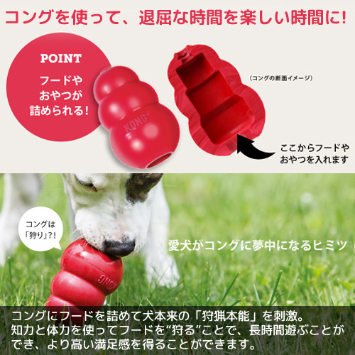 楽天市場 コング ｌ 正規品 犬 犬用おもちゃ 関東当日便 Charm 楽天市場店